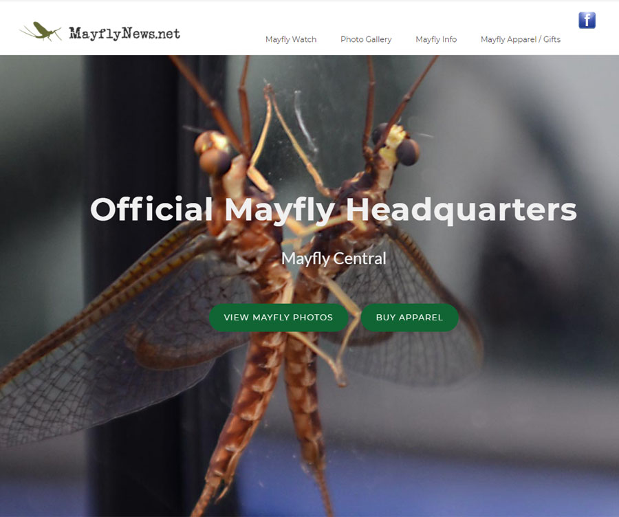 MayflyNews.net web site screen shot